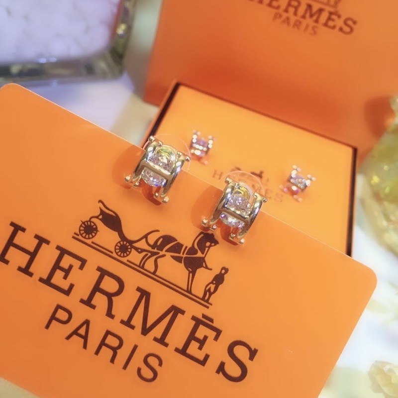 Hermes Earrings 34